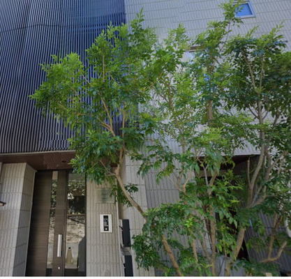 文京学院大学 マンション 1LDK